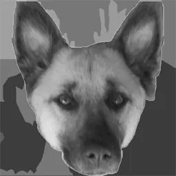 Company Logo Image